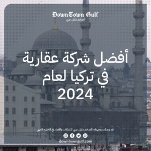 Read more about the article أفضل شركة عقارية في تركيا 2024